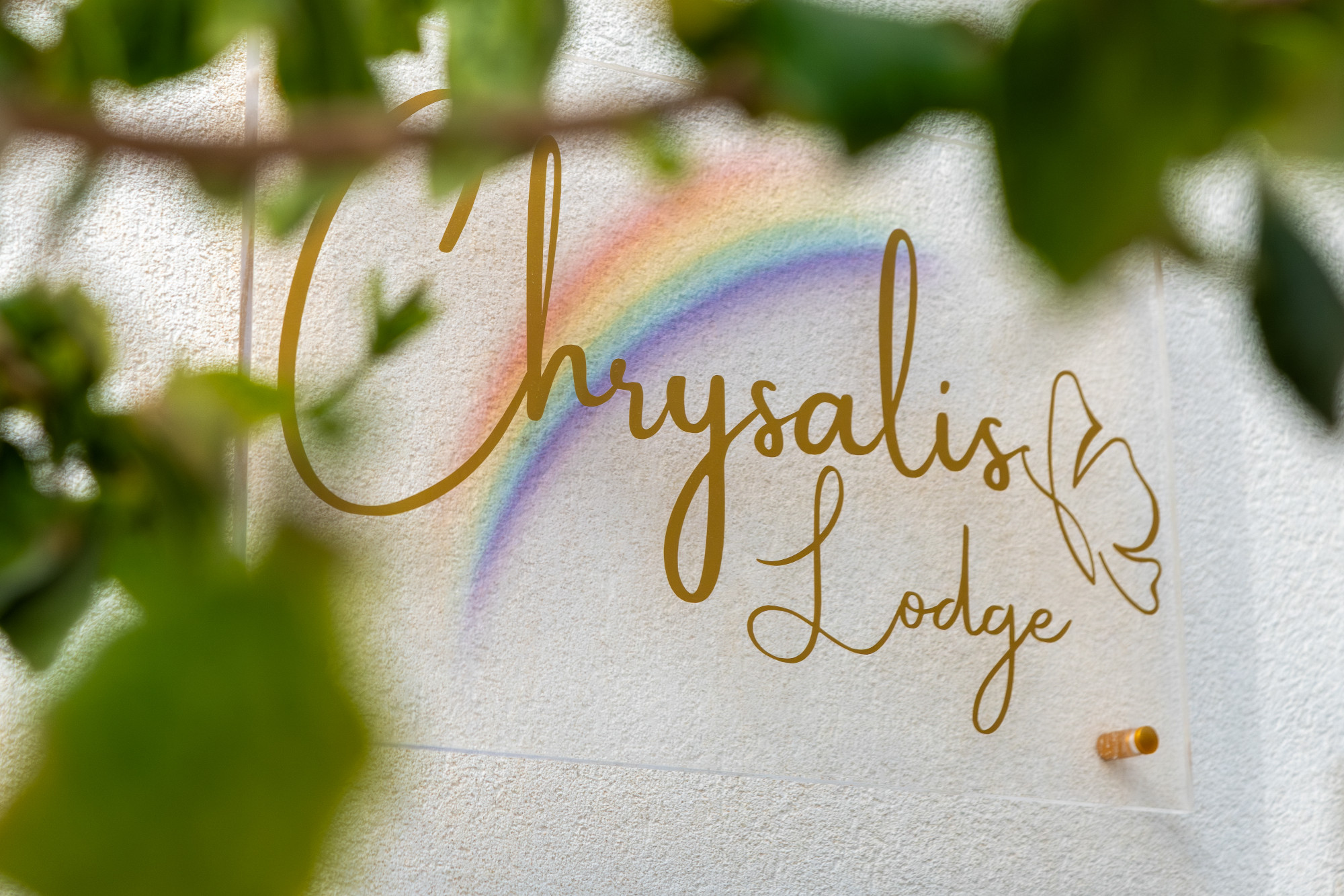 Chrysalis Lodge